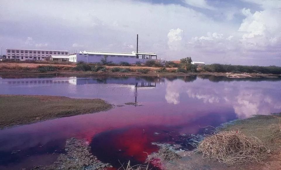 污水處理地方排放標(biāo)準(zhǔn)與污水處理行業(yè)標(biāo)準(zhǔn)按照哪個(gè)來(lái)？-樂(lè)中環(huán)保