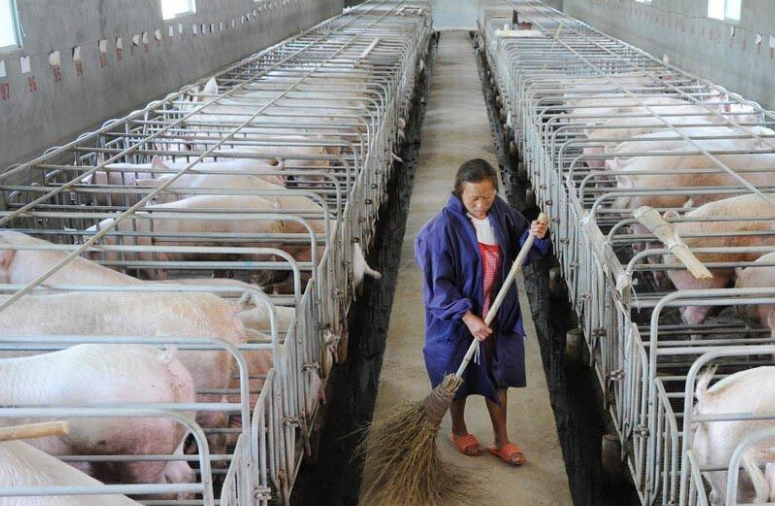 畜牧污水處理設備哪家好,養(yǎng)殖污水處理設備哪家好 畜牧污水處理設備哪家好,養(yǎng)殖污水處理設備哪家好