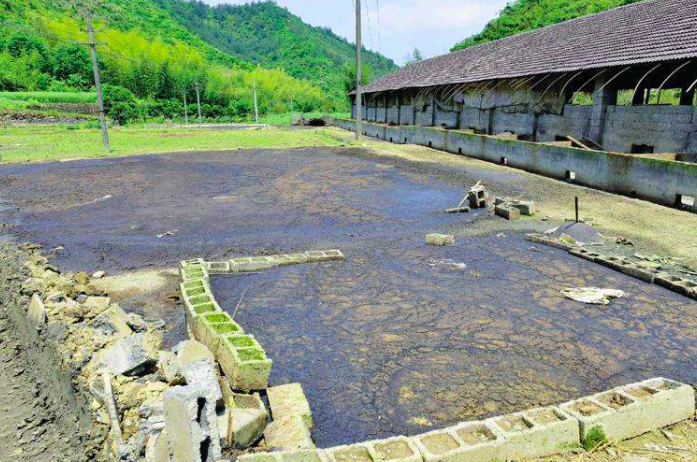 養豬污水變清水最快方法，養豬場污水處理方法有哪些-樂中環保