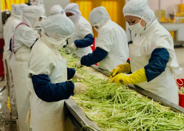 三種食品污水處理設(shè)備工藝流程，看看哪種適合您？