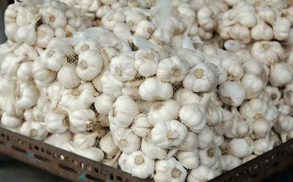 大蒜水|大蒜生產加工廢水污水處理設備|工藝流程 大蒜水|大蒜生產加工廢水污水處理設備|工藝流程